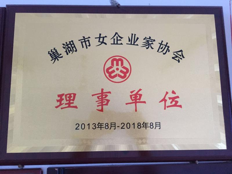 巢湖市女企業(yè)家協會理事單位